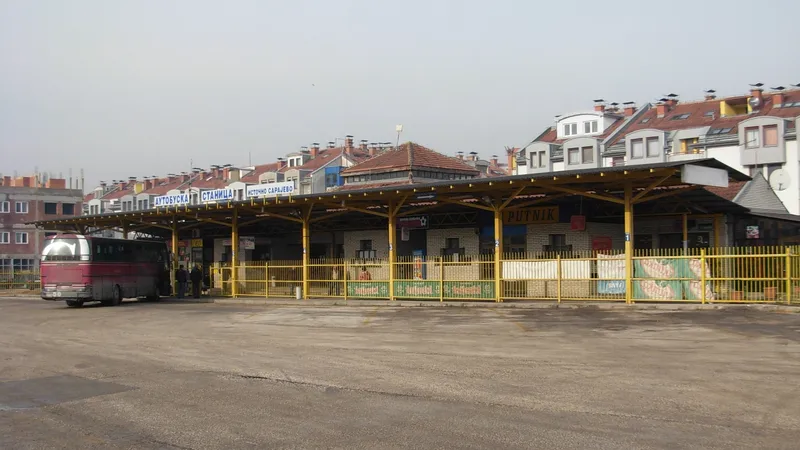 Mladi par s koferima ulazi u autobus