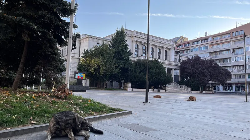Zgrada Narodnog pozorišta u Sarajevu